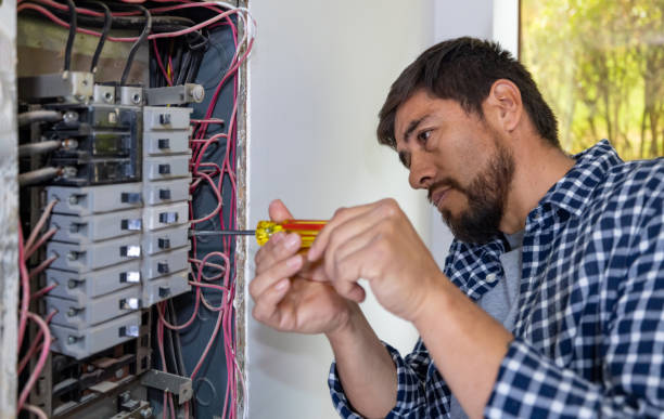 Best Ceiling Fan Installation Electrician  in Pecatonica, IL